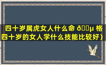 四十岁属虎女人什么命 🌵 格（四十岁的女人学什么技能比较好）